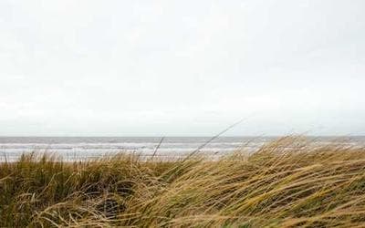 Leveraging Social Media for Growth